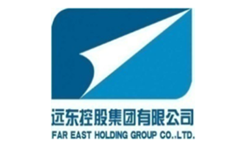 远东控股