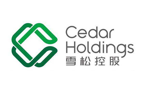 雪松控股